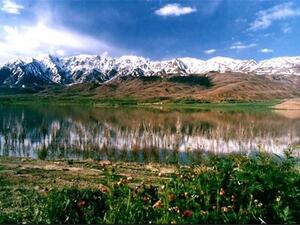  Gandoman wetland  (Twitter)