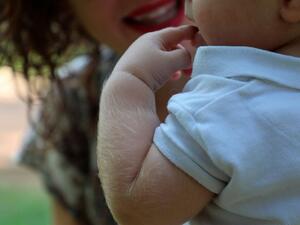 فرط نمور الشعر 