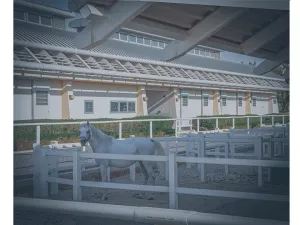 QF’s Equine Veterinary Medical Center To Oversee Local Animal Research