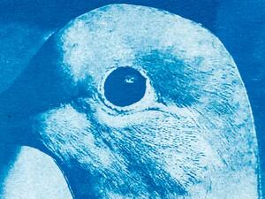 Ramallah Art Fair (Twitter)