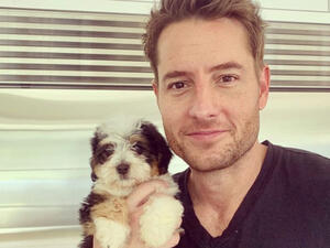 Celebrity IOU will return next week on HGTV with Rainn Wilson