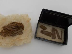 The surprising find was discovered in the University of Aberdeen's museum collections after it was thought lost for more than a century (Twitter)