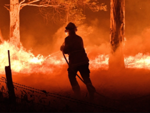 Australia should expect a longer and more extreme bushfire season as carbon emissions create a hotter, drier climate, a government agency warned on Friday [File: Saeed Khan/AFP]