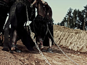 (Shutterstock/ File Photo)