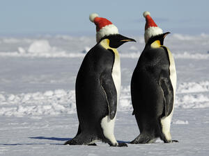 (Shutterstock/ File Photo)