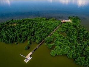 داو جونز تدرج إريكسون كواحدة من أفضل الشركات في تقييم الاستدامة المؤسسية 