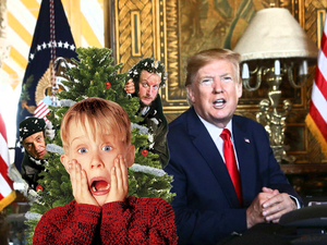 Donald Trump's Home Alone 2 Appearance 'Was a Photobomb'; Creators Reveal
