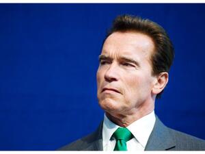 آرنولد شوارزينجر