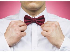 البابيون اللامع (مثل البابيون الحريري) هو الأفضل للمناسبات الرسمية والحفلات مثل حفلات الزفاف