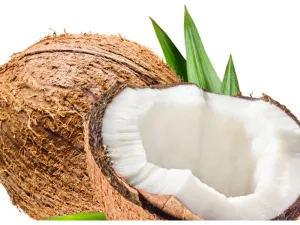 جوز الهند