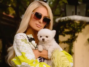 Paris revealed last September she wanted to have twins 