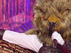 Who Knew It Was Him! The Masked Singer 'Inta Min' Judges Shocked As the Hawk Identity Revealed