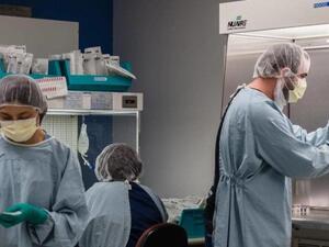 لا يستبعد أن يكون فيروس كورونا قد تطور وتغير في جميع أنحاء العالم