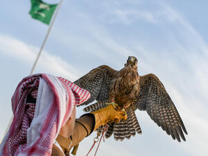 (Shutterstock/ File Photo)