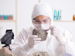 (Shutterstock/ File Photo)