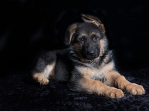 (Shutterstock/ File Photo)