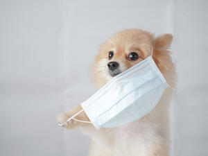 (Shutterstock/ File Photo)