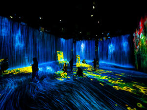 Exhibition room at Epson TeamLab Borderless, Huangpu District. (Shutterstock/ File Photo)