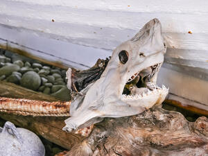 (Shutterstock/ File Photo)