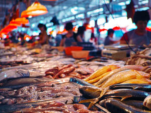 (Shutterstock/ File Photo)