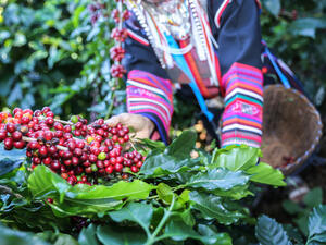 (Shutterstock/ File Photo)