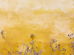 ما تفسير الحلم باللون الأصفر في المنام؟