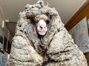 Baarack’s incredible transformation! (Instagram)