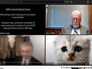 أنا لست قطة