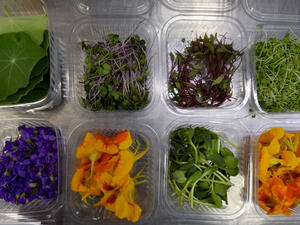 Boxes of edible leafs and flowers are pictured in Tunisian chef Bassem Bizid’s kitchen to be used to prepare dishes at a luxury hotel in Gammarth, an upscale northern suburb of the capital Tunis. (AFP)