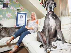 كلير ستونمان مع الكلب فريدي 