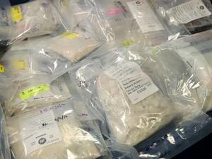 أكبر كمية تهريب مخدرات يجري ضبطها في هولندا هذا الشهر