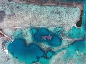 تفسير الحلم بالبحيرة في المنام؟