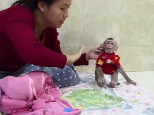 One showed a man boasting how he made a baby monkey 'super loud cry' while he choked her and another showed a monkey being held upside down and slapped. (YouTube)