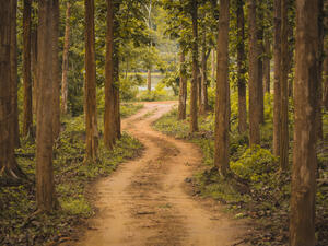 (Shutterstock/ File Photo)