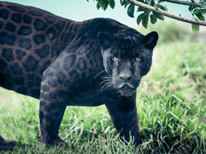 (Shutterstock/ File Photo)