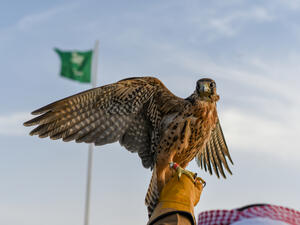 (Shutterstock/ File Photo)