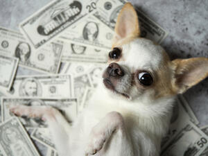 (Shutterstock/ File Photo)
