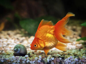 (Shutterstock/ File Photo)