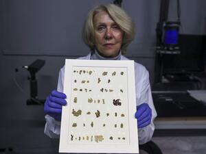  Tanya Bitler displays the recently-discovered 2000-year-old biblical scroll fragments