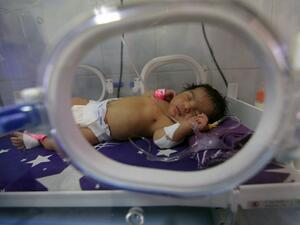 The Yemeni Liberation Movement to start hunger strike