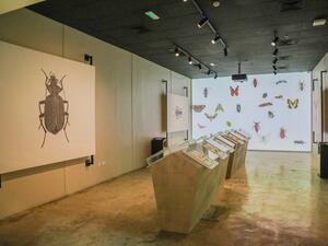 مراكز هيئة البيئة والمحميات الطبيعية تستقبل 66663 زائر خلال شهري يناير وفبراير