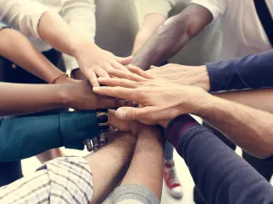 team members