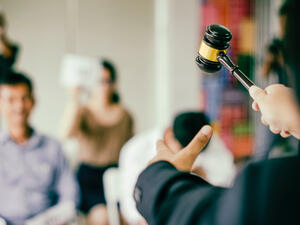 Auctioneers Future Property said Deer Island is a space that can be "enjoyed with zero chance of intrusion."