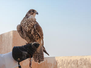 (Shutterstock/ File Photo)