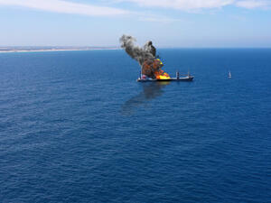 Four cats saved from a burning ship in Thailand