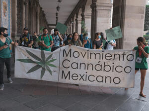 A march in front of the old city hall for the regulation of cannabis in Mexico