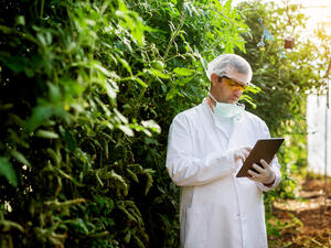 Plants can communicate with humans 