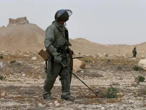 تدمر