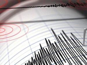 جهاز رصد الزلازل