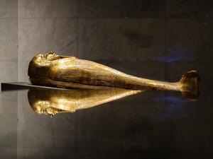 A golden sarcophagus is exhibited at Egypt's new National Museum of Egyptian Civilisation (NMEC), in the Fustat district of Old Cairo, during its official reopening a day after the Pharaohs' Golden Parade ceremony, on April 4, 2021. The NMEC which opened its doors to limited exhibits from 2017, opens fully a day after the "Pharaohs' Golden Parade"